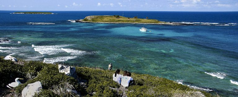 Abrolhos4ed-e1573145330921